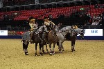 Quadrille - 00892